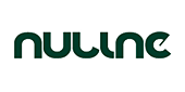 Нулин