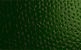 JuniperGreen/Зеленая листва