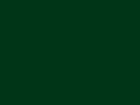 RAL 6005: зеленый мох