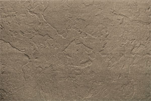 RAL 1019