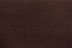 RAL 8017