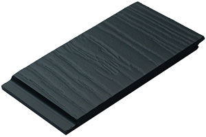 RAL 6009