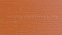 Sentry Burnt Orange